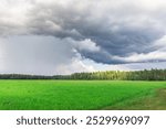 A field of grass with a storm cloud in the background. The sky is overcast and the mood is somber