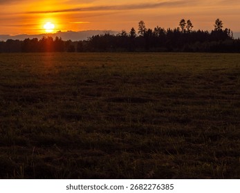 A field of grass with a sun setting in the background. The sun is setting behind a forest. Warm orange sky. Nobody. Nature scene in a country side. Rural area.