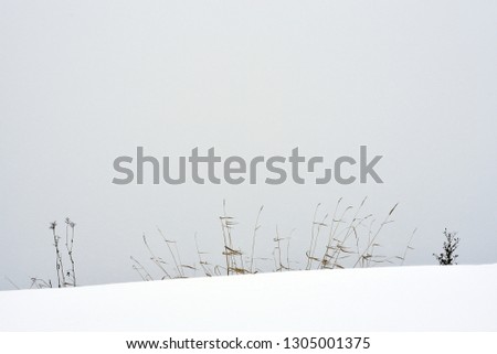 Similar – Foto Bild Warschauer Schnee Winter