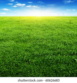 Field Of Grass,blue Sky And Sun.