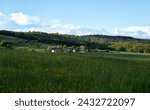 Field with green frass and yellow flowers with sun shining on the small village of Potzbach, Germany in the background on a spring evening.