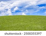 Field of green fresh grass under blue sky. Green grass field on small hills and blue sky. Green meadows with blue sky background. Green grass field and blue sky landscape background. Summer landscape