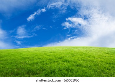 Field Of Green Grass And Blue Sky