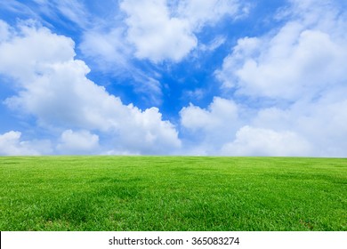 Field Of Green Grass And Blue Sky