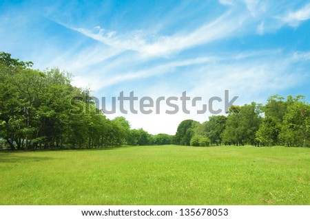 Field of green grass and blue sky in summer day.
