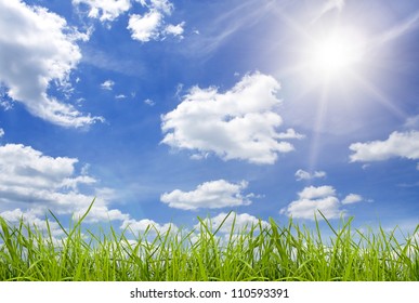 field green grass isolation on the sky backgrounds