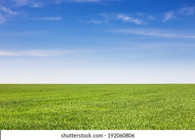 Field Green Grass Natural Color Stock Photo 192060806 | Shutterstock