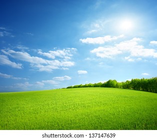 Field of green grass and perfect sky and trees - Powered by Shutterstock