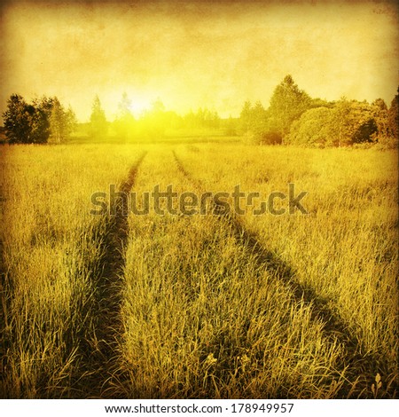 Image, Stock Photo summer sunny yellow Field