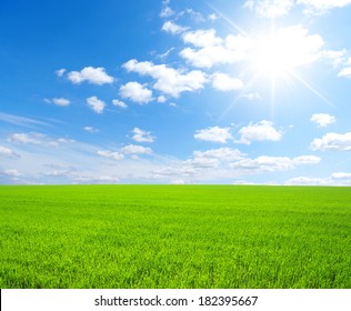 Field Of Green Grass And Sky