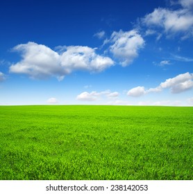 Field Green Grass Sky Stock Photo 238142053 | Shutterstock