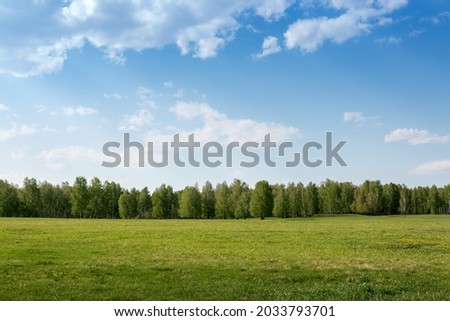 The field is green and the sky with clouds on a summer day