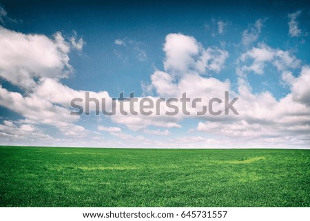 Similar – Greener Grass Nature Sky