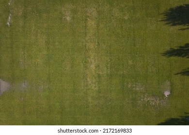 A field of green and yellow grass seen from directly above.
