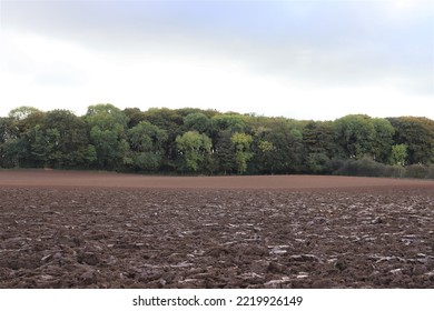 The Field Has Been Ploughed By The Tractor Prepare For Planting Wheat In The Farm In The UK England 