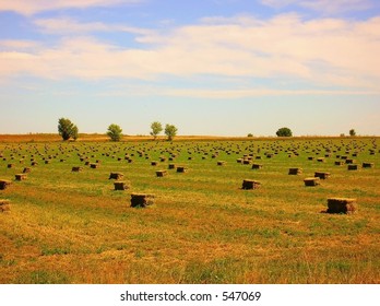 A Field Of Hay Bales In Eastern Colorado.