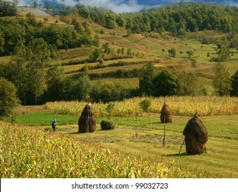 Field with haystack on mountains meadow