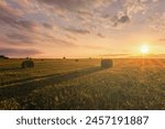 A field with haystacks on a summer or early autumn evening with a cloudy sky in the background. Procurement of animal feed in agriculture. Rural landscape at sunset or sunrise. Vintage film aesthetic.