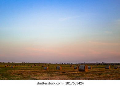 A field with haystacks on a summer or early autumn evening with a blue-pink sky in the background. Procurement of animal feed in agriculture. Landscape. Sunset.