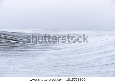 Similar – Image, Stock Photo My garden fence. Landscape