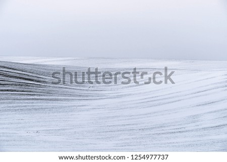 Similar – Image, Stock Photo My garden fence. Landscape