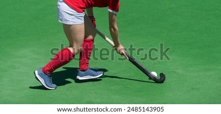 Field Hockey player, ready to pass the ball to a team mate. Horizontal sport theme poster, greeting cards, headers, website and app