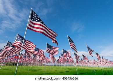 A field of hundreds of American flags.  Commemorating veteran's day, memorial day or 9/11.