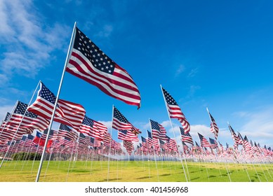 A field of hundreds of American flags.  Commemorating veteran's day, memorial day or 9/11.