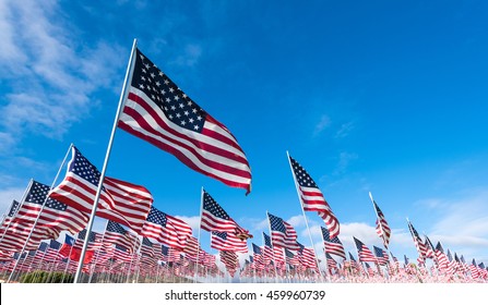 A field of hundreds of American flags.  Commemorating veteran's day, memorial day or 9/11.