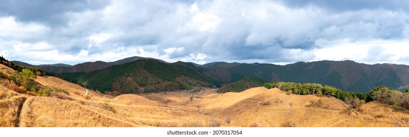 荒蕪地