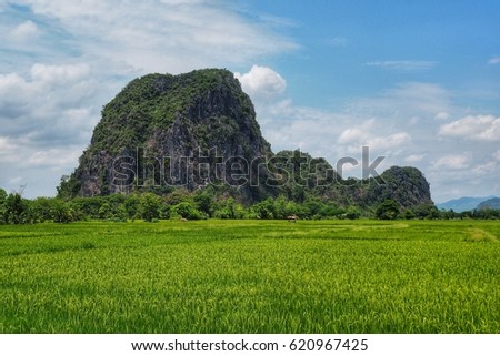 Field landscape.