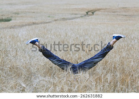 diving Cornfield Field