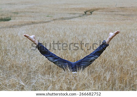 Similar – diving Cornfield Field