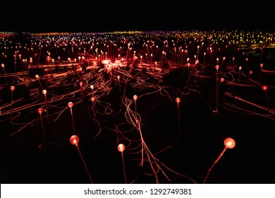 Field of light at night with mostly red lights in NT Australia