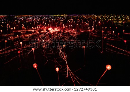 Field of light at night with mostly red lights in NT Australia