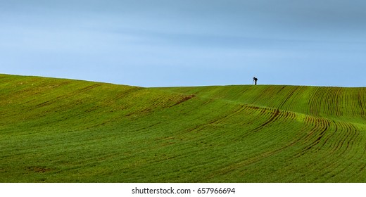 Field with man