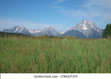 A Field And Mount Moran In The Distance