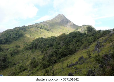 Field and mountain.