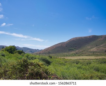 a field with a mountain in the background