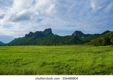 Field with a mountain background.