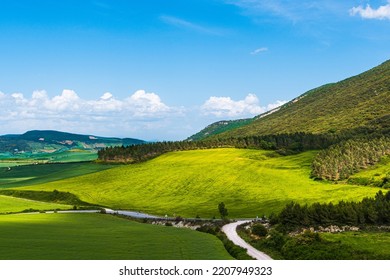 Field And Nature Merge In The Image