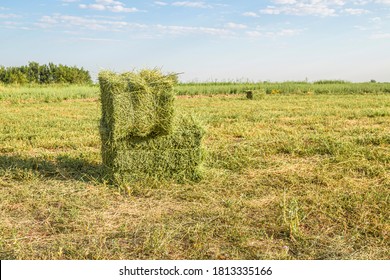 square hay bale dimensions english