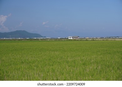 A Field With No End In Sight