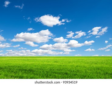 Feld auf blauem Hintergrund