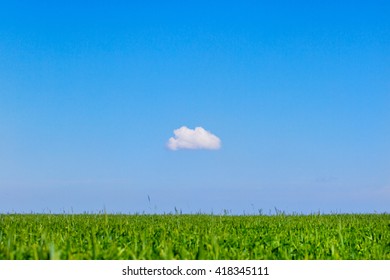 Field And One Cloud In The Blue Sky