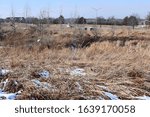 Field in Overland Park, Kansas with patches of snow. Lots of tall dead and dry grass.