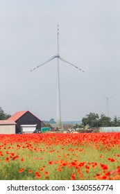 
Field Of Poppies In The Broad Perspective