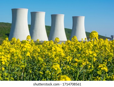 Field of rapeseed,canola or colza, in latin Brassica Napus  with the Nuclear power plant Mochovce in the backround.