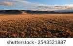 A field road crosses a hilly steppe with yellowed short grass on an autumn evening before sunset. Chui steppe, Altai, Siberia, Russia., Siberia, Russia.