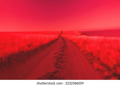 The field road goes beyond the horizon in the sultry prairies ( tropical grassland) into distance and unknown. Surrealistic art infrared photo